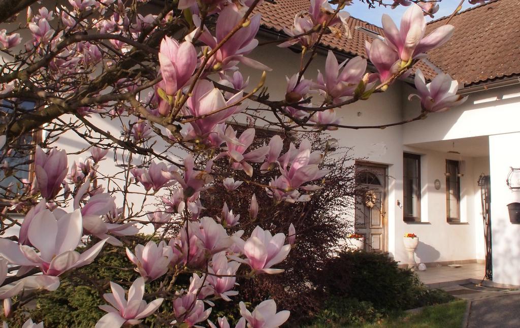 Apartmány pod Kozákovem Tatobity Exterior foto