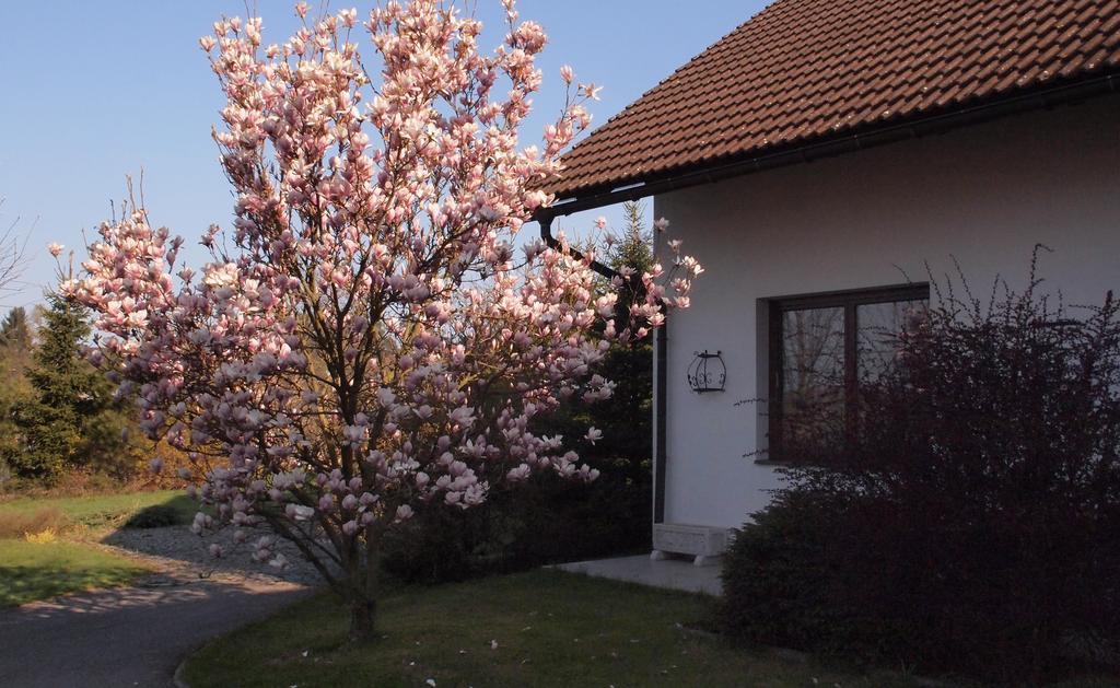 Apartmány pod Kozákovem Tatobity Exterior foto